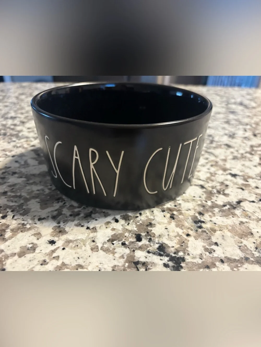 Rae Dunn Black Ceramic Pet Bowl with White Lettering scary cute